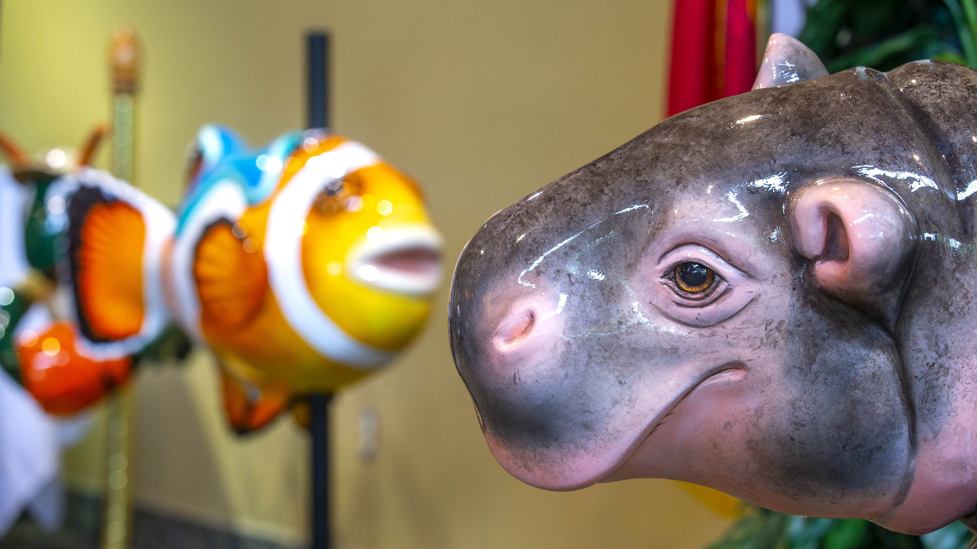 20180613g_nws_carousel_hippo